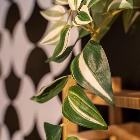 Urban Chic - Terrace - Private Parking Appartement Montpellier