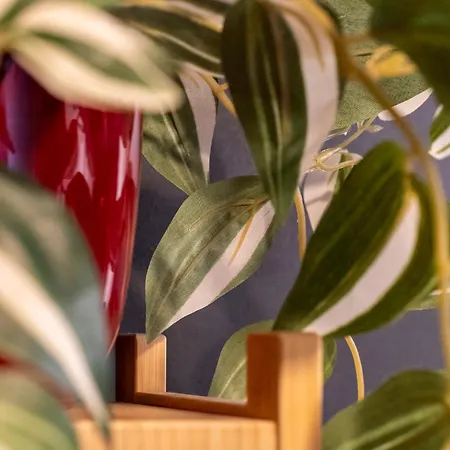 Appartement Urban Chic - Terrace - Private Parking